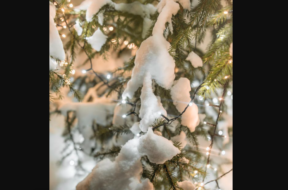 Bildschirmfoto 2025-04-17 um 12.29.12