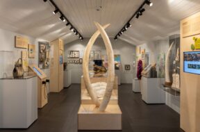 Elefantenstroßzähne Zoll Schweiz