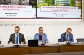 HVS Wallis