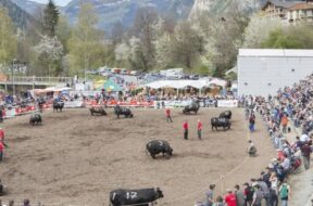 photos-arene-du-chable1000x562