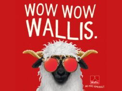 wallis OLMAtitels PD