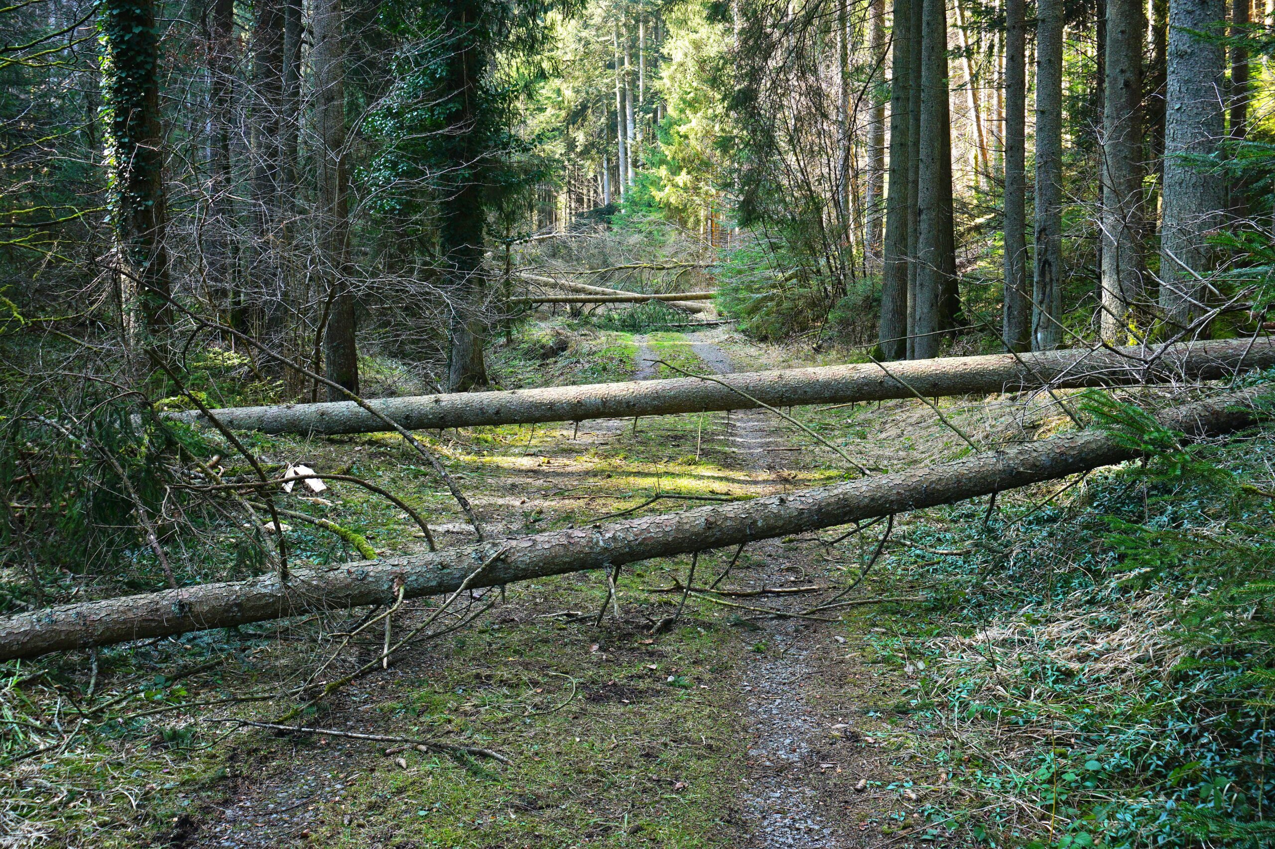 Mängel im Krisenmanagement bei Unwettern im Wallis"Der Kanton ist in der Pflicht"