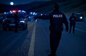 #Kapo Wallis Polizeistraßensperre nachts