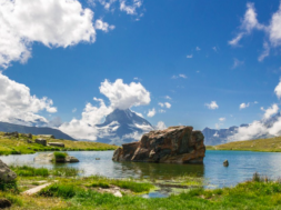 Bergsee Sommer