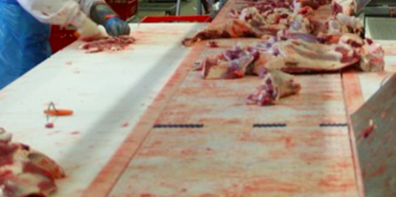 Vorübergehende Schließung der Tierkörpersammelstelle VispWegen monatelangen Sanierungsarbeiten geschlossen