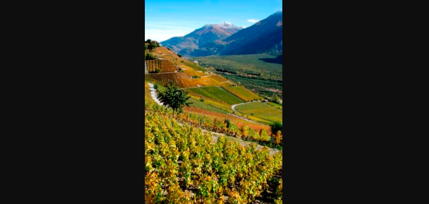 Wander- und Velowege wieder offenWandern, Naturschutz und Wein in Varen