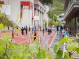 Pestizid Kinder Weintrauben