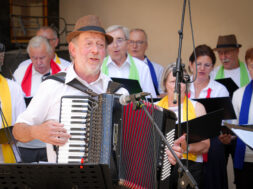 Sommerfest 2015 Brig