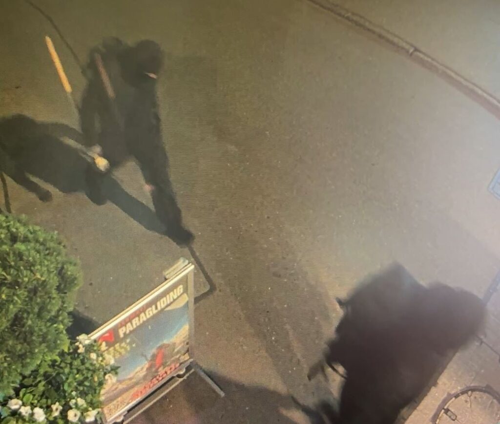 Die Kantonspolizei Wallis bittet die Bevölkerung um Mithilfe (Fahndungsfotos: Kapo VS)