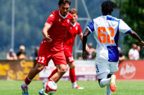 FC Sion Grashooers