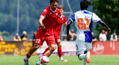 FC Sion Grashooers