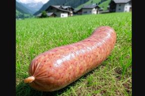 Hundeköder mit Rasierklingen