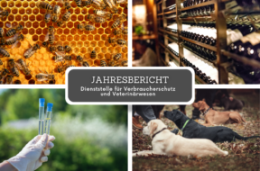 Rapport SCAV DE Dienststelle für Verbraucherschutz und Veterinärwesen Wallis