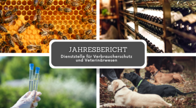 Rapport SCAV DE Dienststelle für Verbraucherschutz und Veterinärwesen Wallis