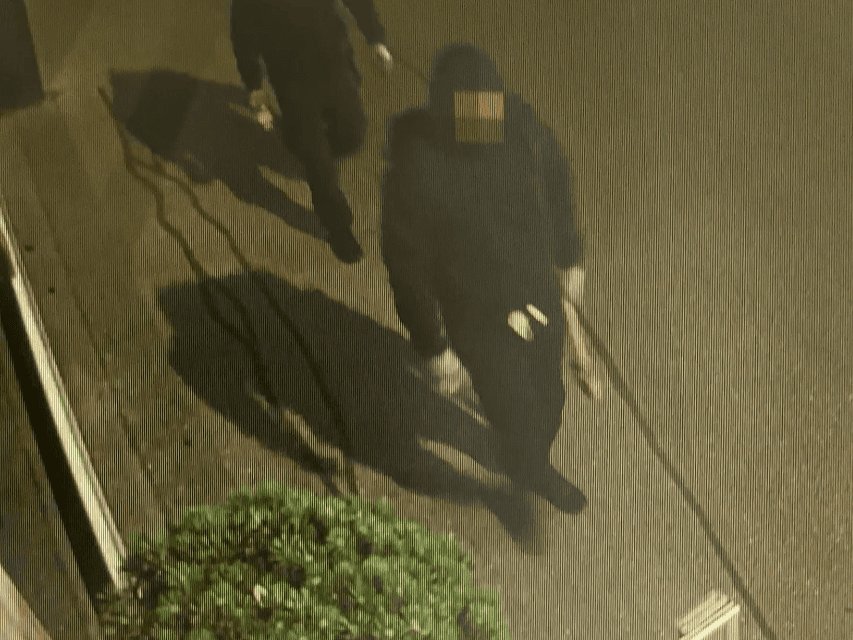 Die Täter flüchteten mutmaßlich in Richtung Täsch, so die Kantonspolizei Wallis (Fotos: Kapo VS)