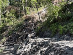 Staldenried- Arbeitsunfall fordert Todesopfer 2025-07-10_Staldenried_PolcantVS-768×432