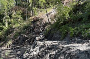 Staldenried- Arbeitsunfall fordert Todesopfer 2025-07-10_Staldenried_PolcantVS-768×432
