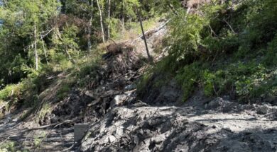 Staldenried- Arbeitsunfall fordert Todesopfer 2025-07-10_Staldenried_PolcantVS-768×432