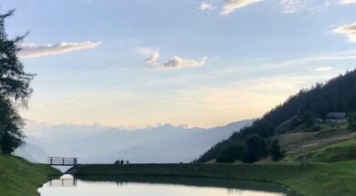 Unterstützungsessen Grüne Wallis Les Verts
