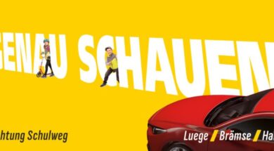 Plakat-Jahr-1-Genau-schauen-F12-RGB-768×366