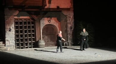 Tell-Festspiele 2025 Robin Hood