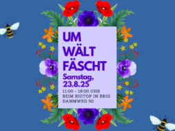 Umweltfäscht Brig 2025