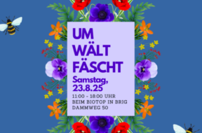 Umweltfäscht Brig 2025
