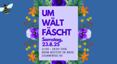 Umweltfäscht Brig 2025