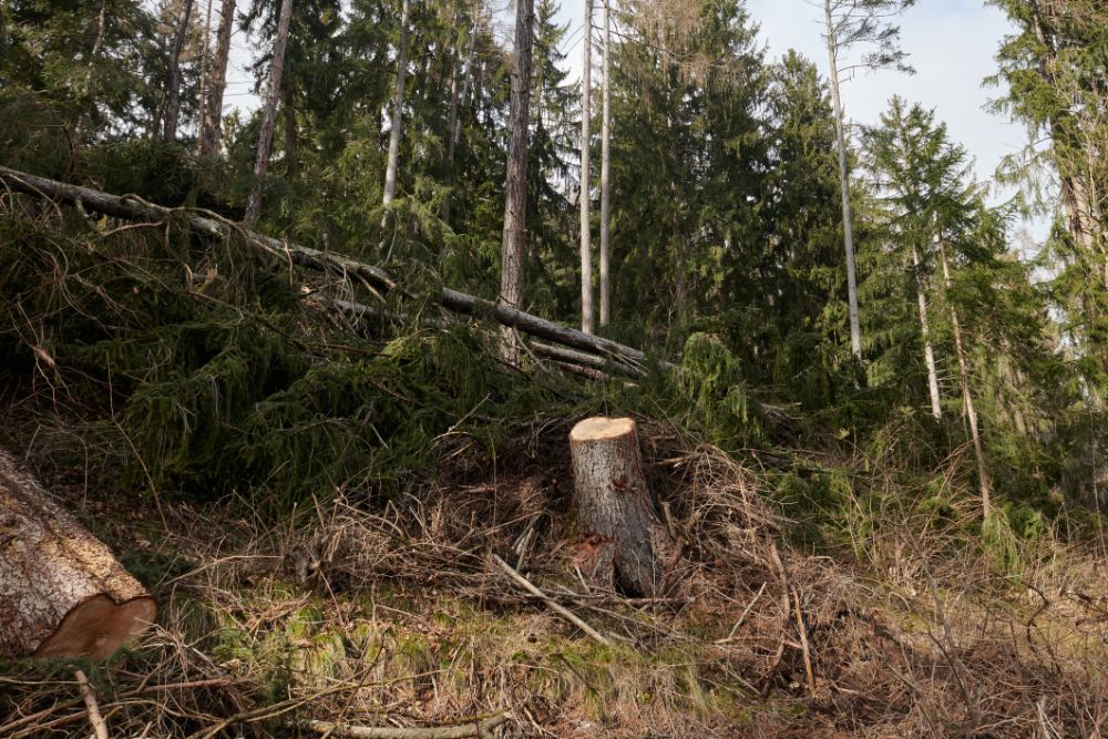 Unwetter vom April 2025Nachtragskredit beim Großen Rat beantragt