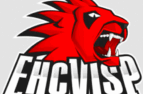 #EHC Visp