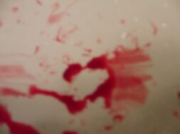 #Gewalt #Blut