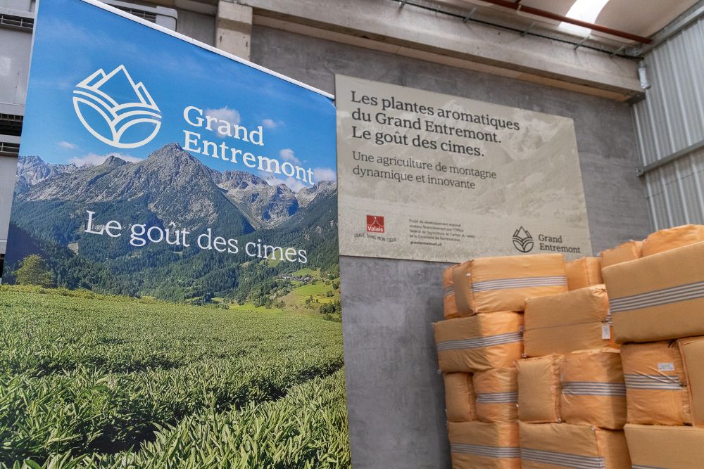 Landwirtschaft Wallis: – Offizieller Abschlußbdes PRE Grand Entremont