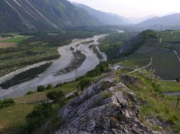 Rhone PVSR