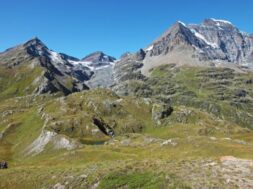 Walliser Naturmuseum