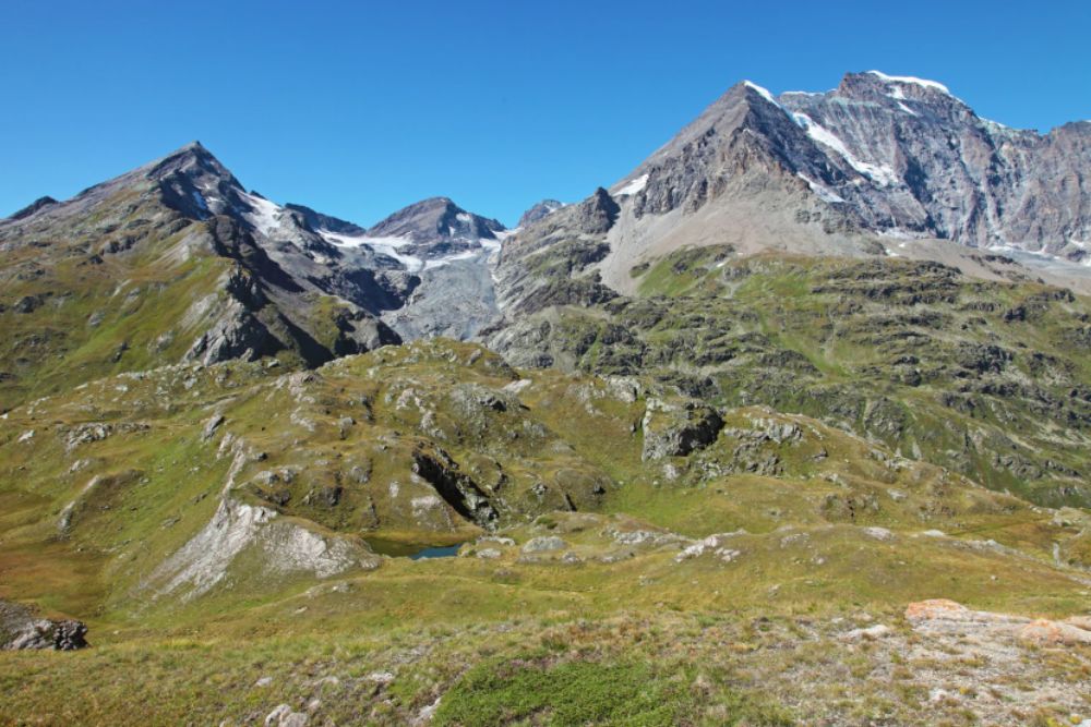Das Naturmuseum Wallis zeigt «Gipfelmeer»Überreste eines Meeres befinden sich heute in den Walliser Bergen