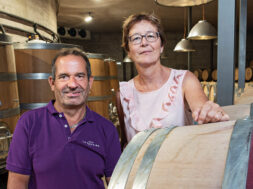Weingut-des-Jahres-Wallis
