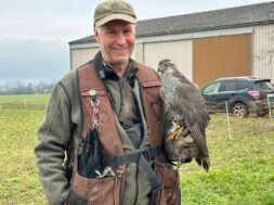 Klaus Agten Falkner Wallis