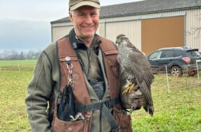 Klaus Agten Falkner Wallis