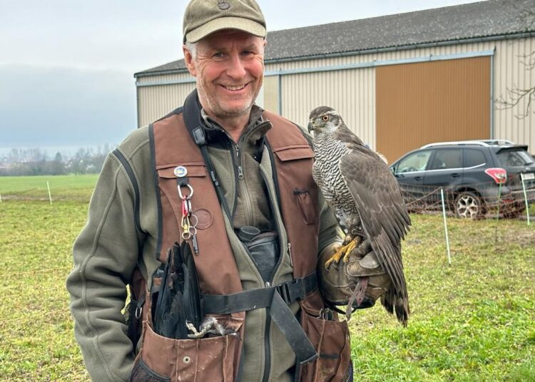 Falkner Klaus Agten mit Vorführung im Landschaftspark BinntalMeister der Lüfte – wenn der Habicht seine Kreise zieht