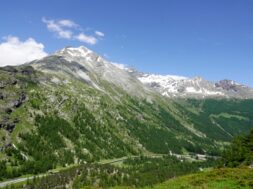 Übersicht Galerie Engi