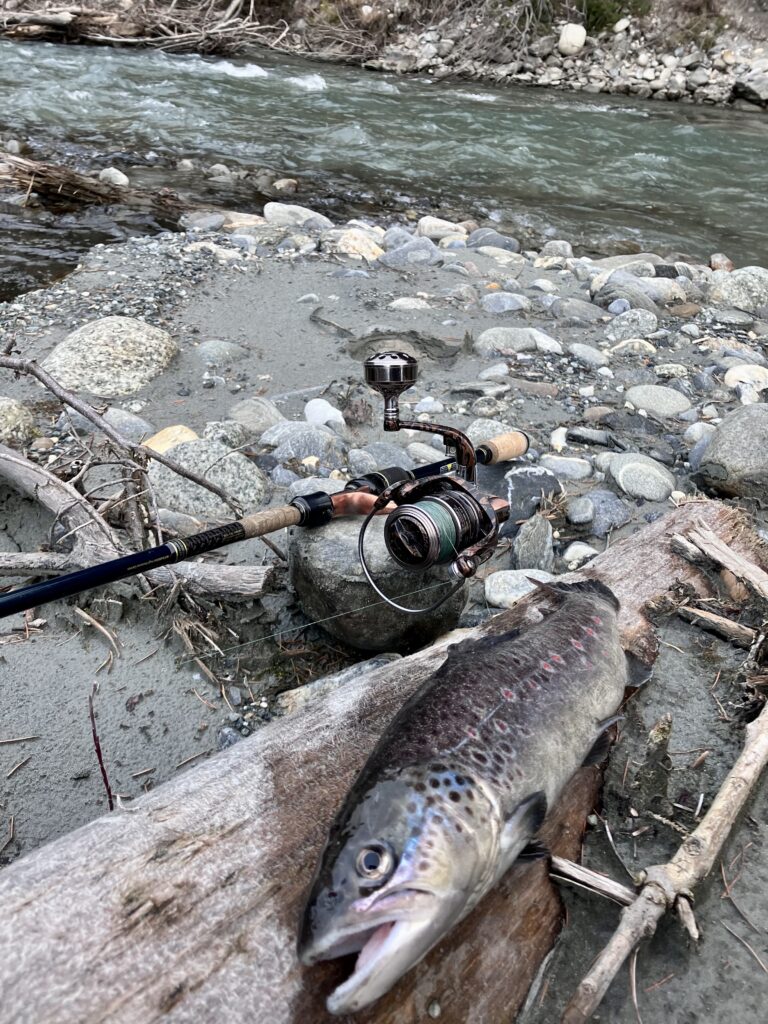 Eine Bachforelle aus der Dranse. Für viele steht heute das Erlebnis im Vordergrund – nicht allein die Fangmenge.