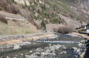 Fischen Wallis Fischerei