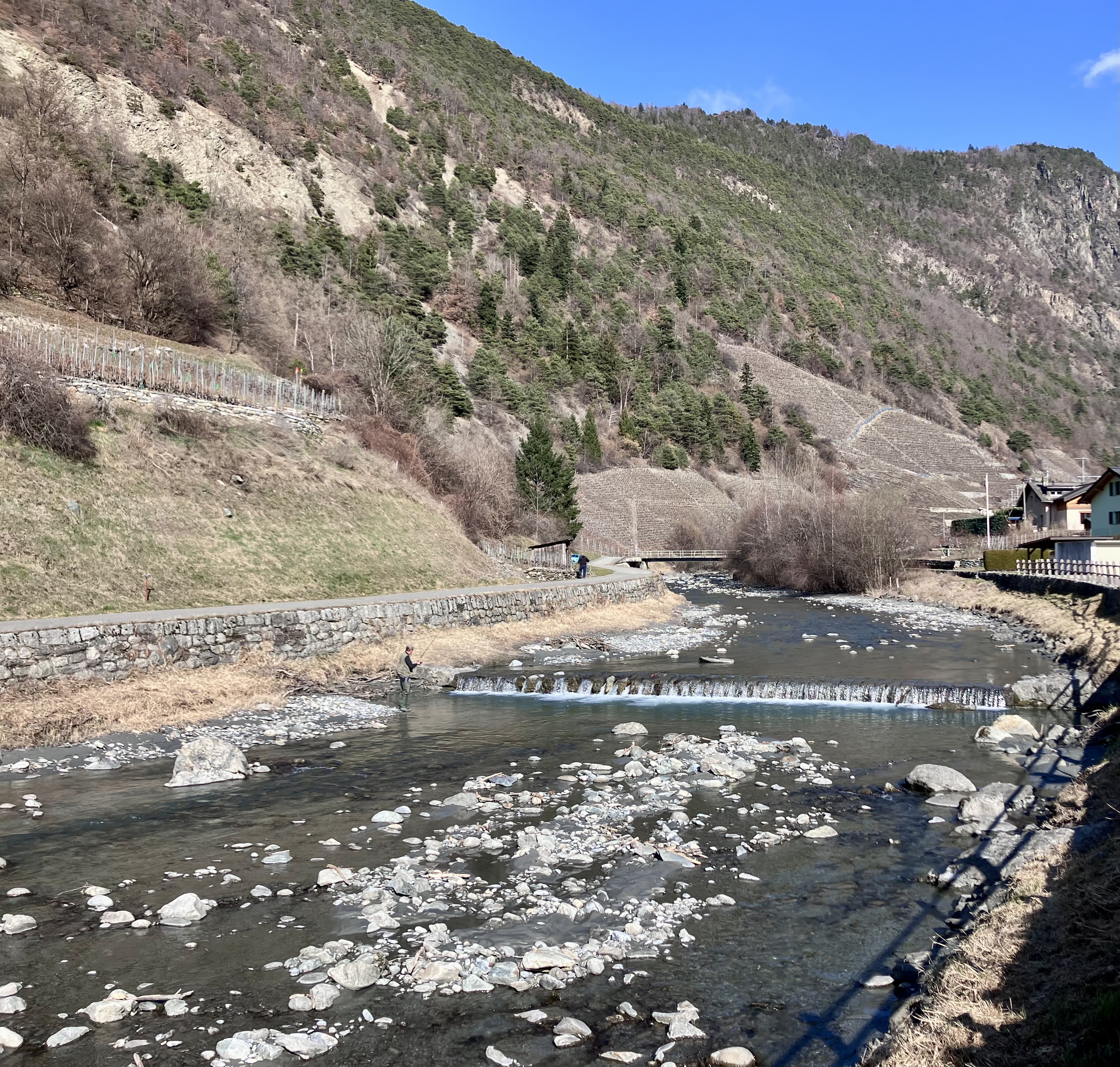 Fischereieröffnung im WallisZwischen Kiesbank und Strömung – Auftakt an den Talbächen