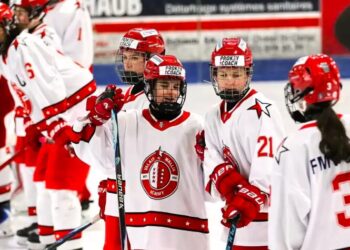 Direktor der HC Valais/Wallis-AkademieFreie Stelle als zukünftiger Direktor