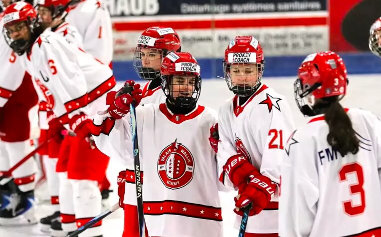 Direktor der HC Valais/Wallis-AkademieFreie Stelle als zukünftiger Direktor