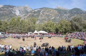 Ringkuhkampf Vifra raceherenstour c arene-du-goler1000x562