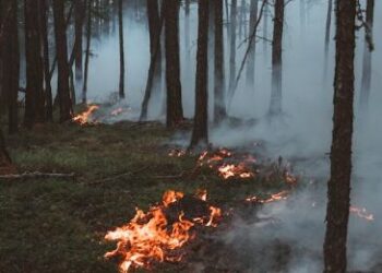 Waldbrand oberhalb von ChalaisLösch-Helikopter im Einsatz