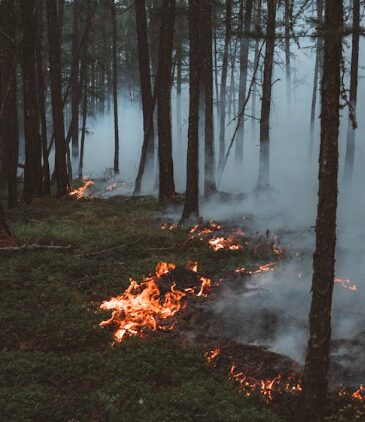 Waldbrand oberhalb von ChalaisLösch-Helikopter im Einsatz