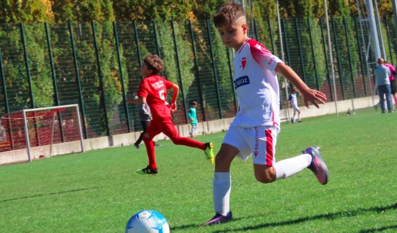 Fußballschule des FC Sion"Der Verein „FC Sion – Fußball für alle“ braucht euch!"