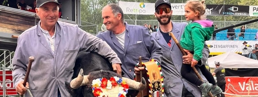 Canaille zur Königin der Königinnen gekröntNationales Finale der Eringerrasse 2026: Die Siegerin steht fest